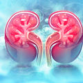 Understanding Kidney Disease: Types, Management, and Prevention