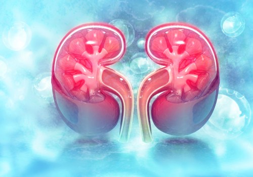 Understanding Kidney Disease: Types, Management, and Prevention